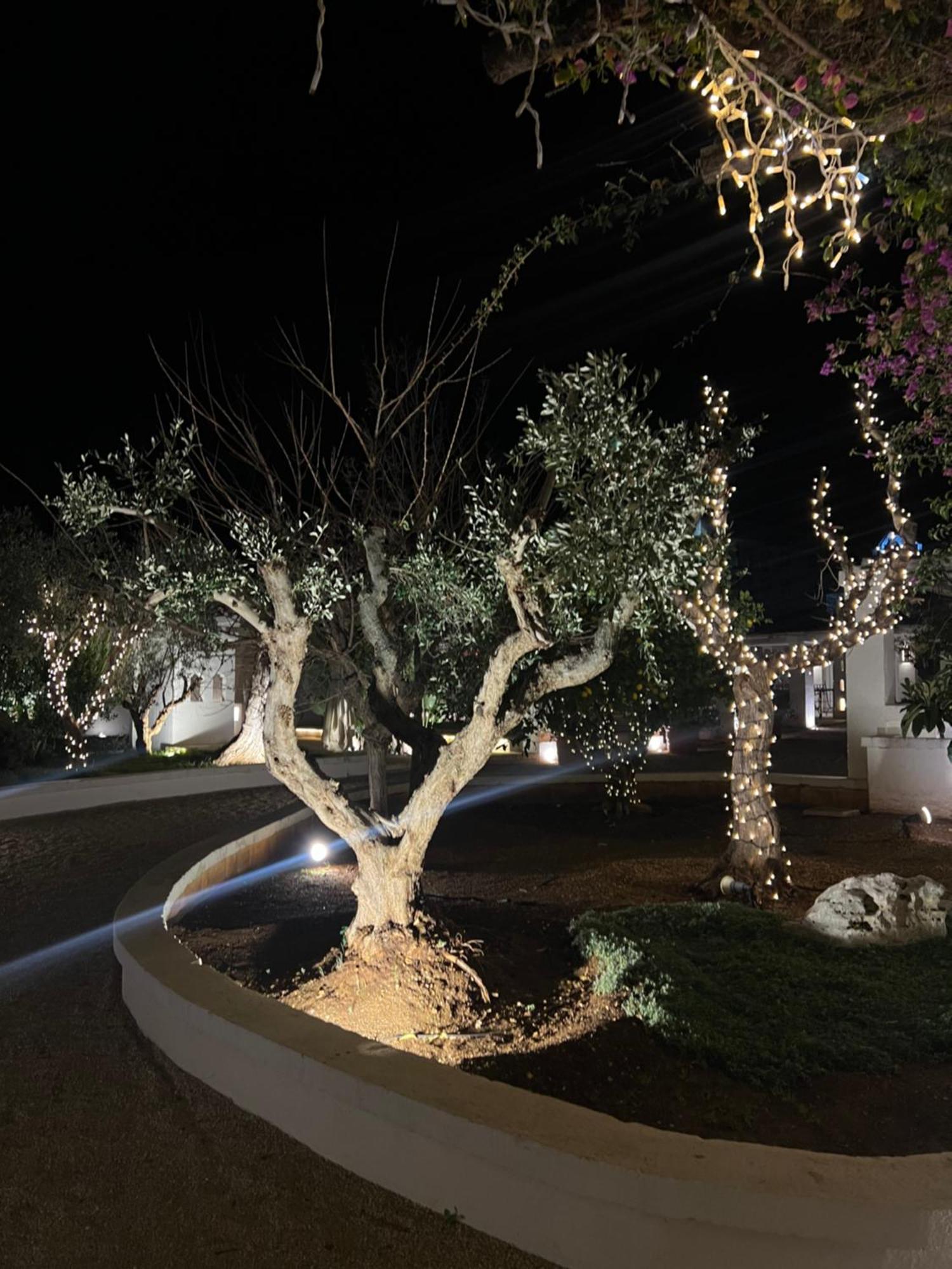 Masseriola Antiche Fogge By Apulia Hospitality Φαζάνο Εξωτερικό φωτογραφία